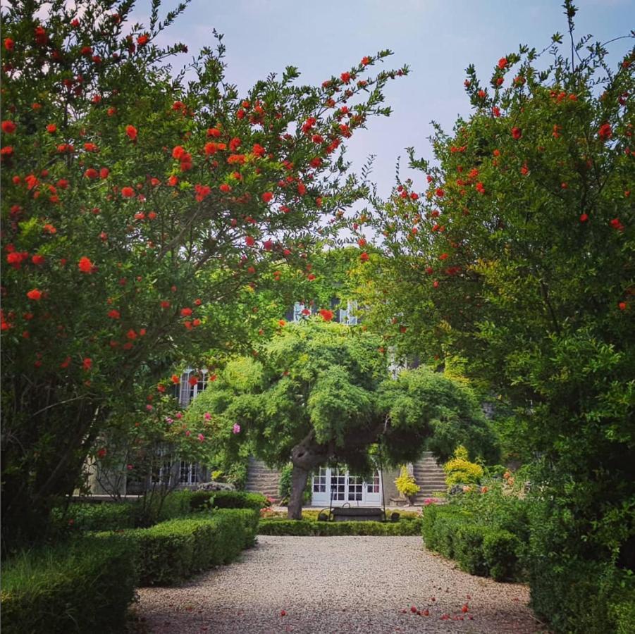 Chateau De Floure - Spa Et Piscine Exterieure Chauffee Carcassonne Zewnętrze zdjęcie